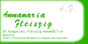 annamaria fleiszig business card